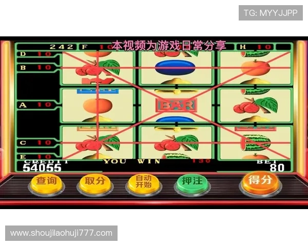 多款水果机投币游戏机单机版免费版满足不同玩家的偏好和游戏需求