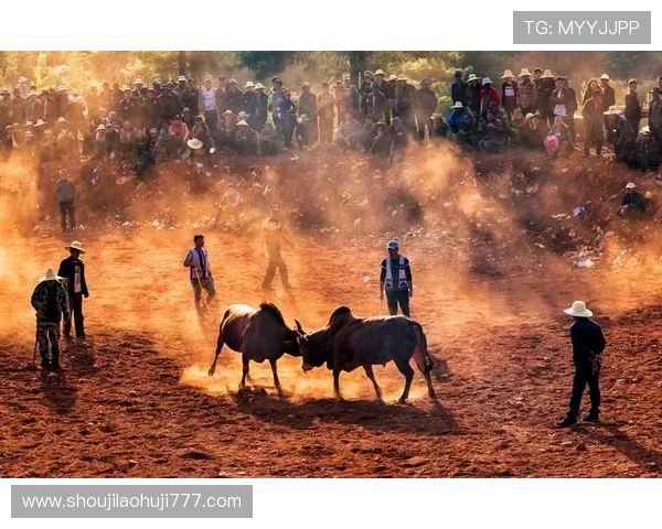 优质真人斗牛视讯平台推荐，享受真实刺激的线上斗牛娱乐体验