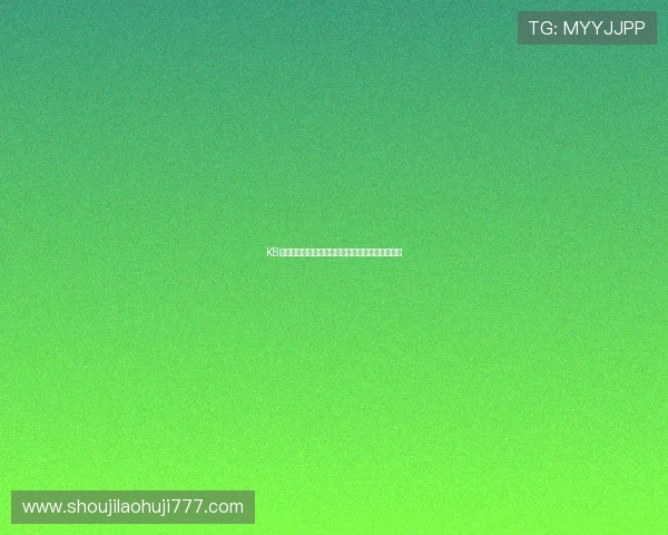 K8真人娱乐的安全保障体系与玩家资金保护措施详解