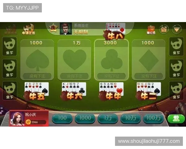 全面解析网上百家乐游戏的规则与策略新手快速入门指南 全面解析网上百家乐游戏的规则与策略新手快速入门指南