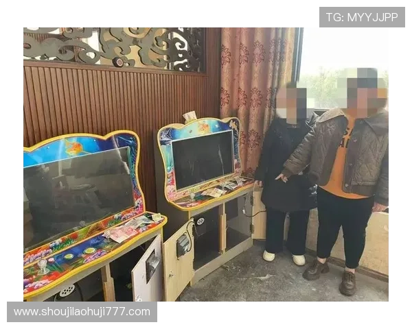 老虎游戏机的安全防护措施与风险控制