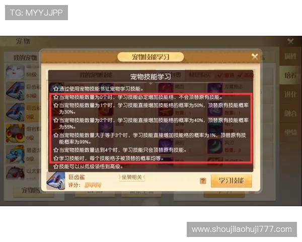 老虎机规则和打法图解：详细解析不同类型老虎机的玩法技巧与操作流程