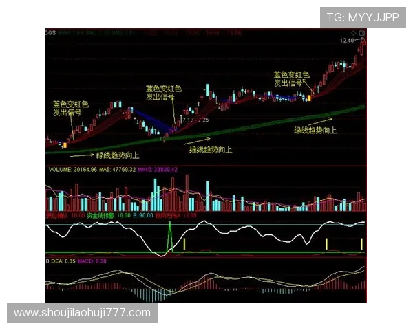 打龙虎的技巧详解：提升胜率的实用策略与操作指南